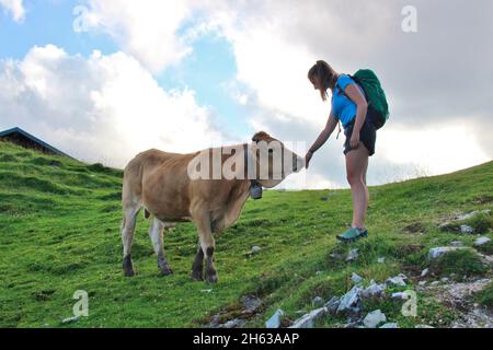 young woman on hike to krüner alm,(1621 m),cow,race,murnau werdenfels,sunset,karwendel,karwendel mountains,europe,germany,bavaria,upper bavaria,werdenfelser land,alpenwelt karwendel,isar valley,krün,bell Stock Photo