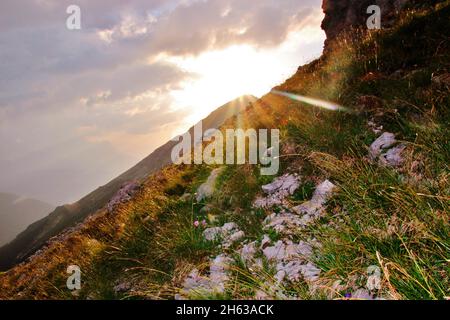 evening hike to the soiernspitze (2257m),the last rays of the sun brush over the grass,sunset,soierngruppe,soiernberggruppe,karwendel mountains,mittenwald,upper bavaria,bavaria,werdenfels,germany,europe