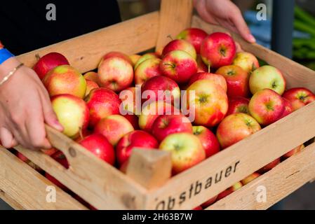 woman carries a fruit crate with apples Stock Photo