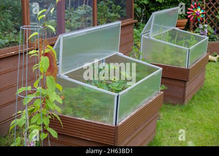 cold frame (attachment) on the raised bed,with strawberries Stock Photo