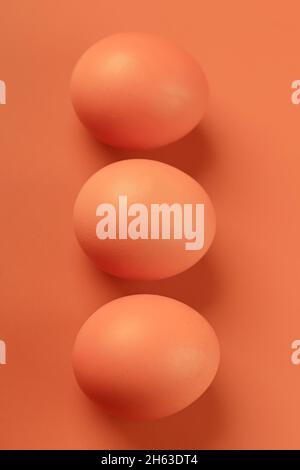 chicken egg on a beige background. Three brown eggs. Easter minimalistic concept. Stock Photo
