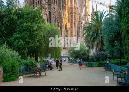 basicila and expiatory church of the holy family,known as sagrada familia at sunset in barcelona. the antoni gaudi masterpiece has become a unesco world heritage site in 1984. Stock Photo