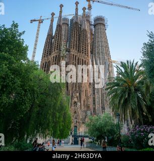 basicila and expiatory church of the holy family,known as sagrada familia at sunset in barcelona. the antoni gaudi masterpiece has become a unesco world heritage site in 1984. Stock Photo