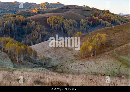 morning autumn landscape in dumesti, alba county. romania Stock Photo