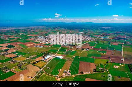 aerial view,sa pobla,pla de na tesa,cabaneta (sa),mallorca,balearic island,balearic islands,baleares,spain Stock Photo