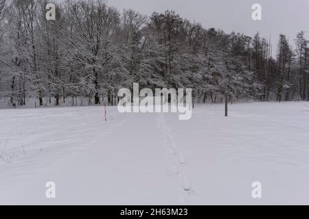 snow-covered cycle path between two paddocks in the early morning in winter Stock Photo