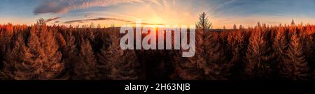 germany,thuringia,masserberg,heubach,dead trees,rennsteig area,sunrise,partly back light,360 –° panorama Stock Photo