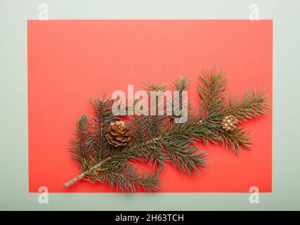 Red Berries on a Christmas Tree with a Pine Cone are Covered with Ice  Crystals. Christmas Decor Stock Photo - Image of glossy, background:  198227746