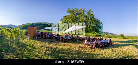 gumpoldskirchen,wine festival in the vineyards,people,vineyard in wienerwald,vienna woods,niederösterreich,lower austria,austria Stock Photo