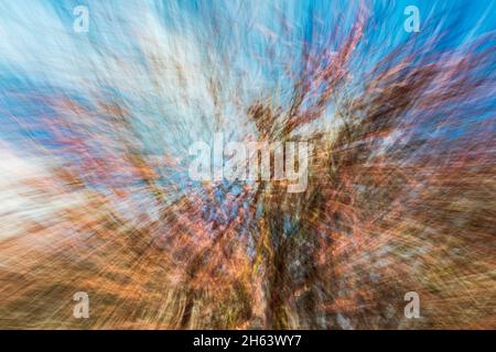 blurred,blurred forest due to motion blur Stock Photo