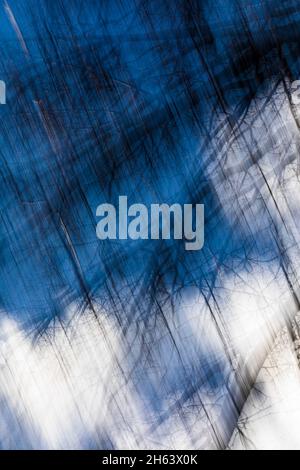 blurred,blurred forest due to motion blur Stock Photo