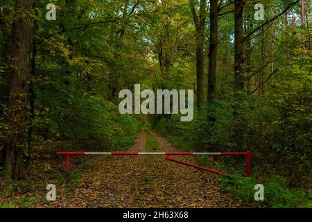 forest road in autumn in germany,closed red white boom gate Stock Photo