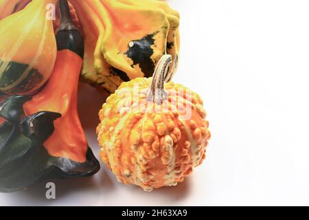 Decorative pumpkins on a white background. Soft selective focus. Autumn background. Stock Photo