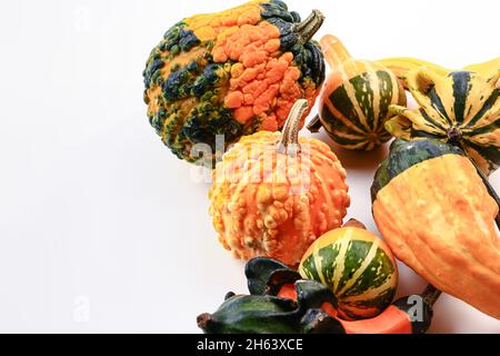 Decorative pumpkins on a white background. Soft selective focus. Autumn background. Stock Photo