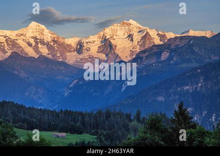 mönch 4107m and jungfrau 4158m in evening sun,beatenberg,bernese alps,bernese oberland,canton of bern,switzerland Stock Photo