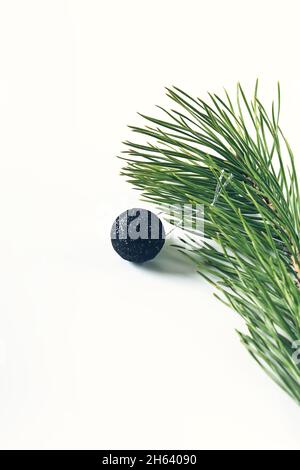 Spruce branch and black New Year's ball on a light background. Christmas minimalism. Stock Photo