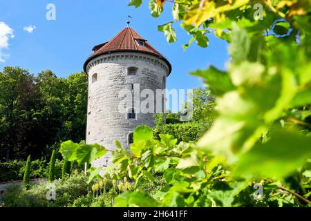 the überlinger gallerturm is one of the city's many landmarks Stock Photo