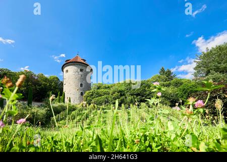 the überlinger gallerturm is one of the city's many landmarks Stock Photo