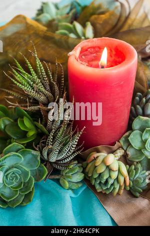 A single lit red pillar candle, surrounded by various small succulents, forming a centerpiece for a summer Christmas table. Stock Photo