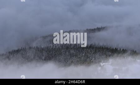 High angle view of forest with snow-covered trees disappearing in low clouds in autumn near Mount Edith Cavell in Jasper National Park, Canada. Stock Photo