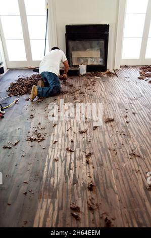 Hardwood floor installer destressing new solid Walnut flooring Stock Photo