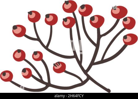 Rosehip or rowanberry, mistletoe berries vector Stock Vector