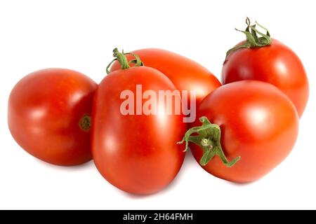 Fresh oblong tomatoes isolated on white background. Stock Photo