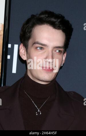 LOS ANGELES - NOV 11:  Kodi Smit-McPhee at the AFI Fest - The Power of The Dog LA Premiere at TCL Chinese Theater IMAX on November 11, 2021 in Los Angeles, CA Stock Photo