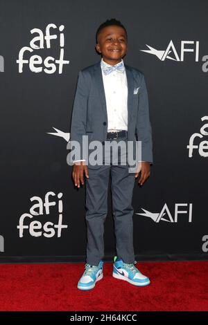 LOS ANGELES - NOV 12: Dax Rey at the AFI Fest - Swan Song Premiere at ...
