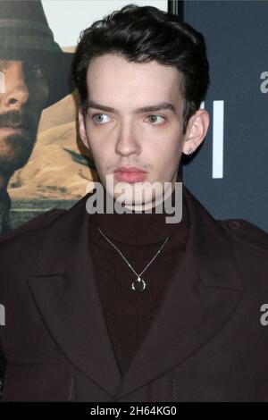 November 11, 2021, Los Angeles, CA, USA: LOS ANGELES - NOV 11:  Kodi Smit-McPhee at the AFI Fest - The Power of The Dog LA Premiere at TCL Chinese Theater IMAX on November 11, 2021 in Los Angeles, CA (Credit Image: © Kay Blake/ZUMA Press Wire) Stock Photo