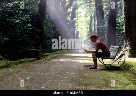 Woman sitting on a bench reading a map on a path through exotic forest in Terra Nostra Garden, Furnas, Sao Miguel Island, Azores, Portugal