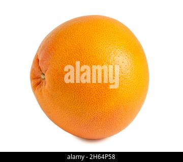 Grapefruit isolated on white background. Whole orange citrus. Stock Photo