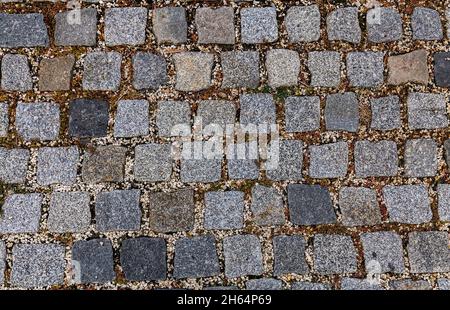 Close up top view of cobblestone with green grass growing and small stones between the cobblestones . Old ancient european town pavement background. Stock Photo