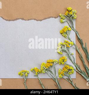 Delicate card with wild dry yellow flowers on gray paper with copy space for design. Stock Photo