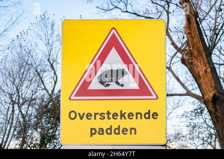 Warning sign against toads crossing the road (Text 'Overstekende padden' means crossing toads in Dutch). Stock Photo