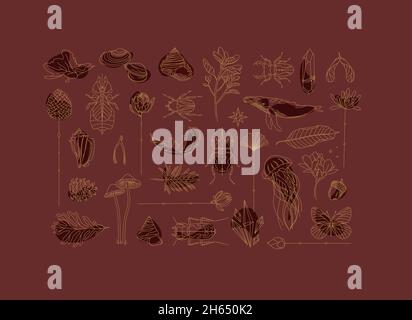 Art Deco flora and fauna collection drawing on red background Stock Vector