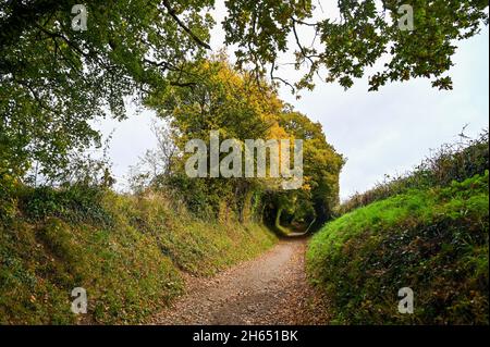 Chichester UK 13th November -  Mill Lane at Halnaker near Chichester in West Sussex UK : Credit Simon Dack / Alamy Live News Stock Photo