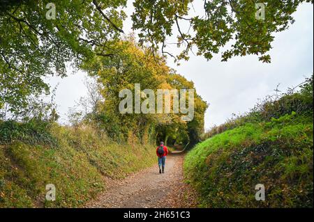 Chichester UK 13th November -  Walkers enjoy the Autumn colours through a tunnel of trees at Halnaker near Chichester in West Sussex UK : Credit Simon Dack / Alamy Live News Stock Photo