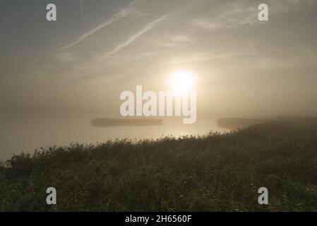 Nebliger Sonnenaufgang in Norddeutschland Stock Photo