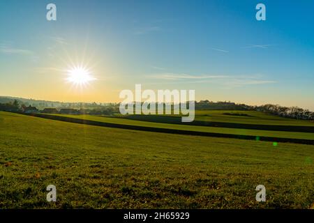 View over a green field into the autumn sun Stock Photo