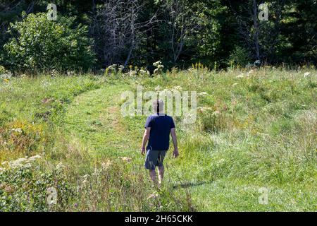 Caucasian man in his forties walking on a mowed path in a field towards a dark forest. Looking off to the right. Rear view. Stock Photo