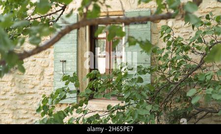 Looking through a tree at a window with green shutters Stock Photo
