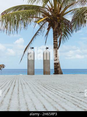 Two scuba diving tanks on road by palm tree and ocean Stock Photo