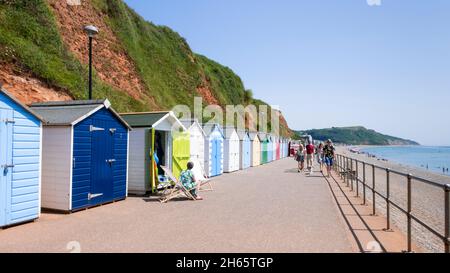 Seaton Devon People sunbathing by the beach huts along the promenade at Seaton Devon England UK GB Europe Stock Photo