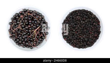 Fresh and dried elderberries in white bowls. Ripe fruit clusters and dried berries of Sambucus nigra. Raw not edible, cooked for wine or jam. Stock Photo