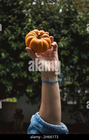 Background of hand holding min-pumpkin on autumn leaves Stock Photo