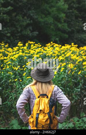Woman with hat and backpack looking to yellow wild flower. Hiker in nature. Rear view of female explorer in wilderness Stock Photo