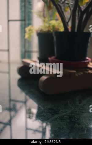 Fern plant on green marble table during a rainy day Stock Photo