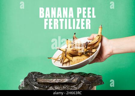 Woman throwing banana peels in trash can. Throw out banana peels in garbage. Banana skin in recycling bio bin in the kitchen Stock Photo