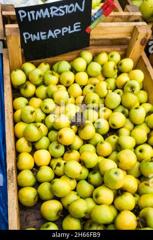 A box of Pitmarston Pineapple apples for sale at a Norfolk farm shop. Stock Photo